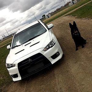 Meet your Posher, Scarlet